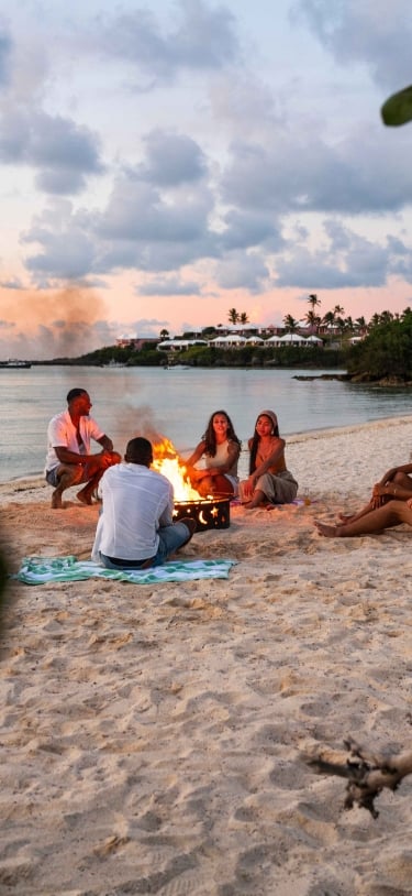 A group of people are on the beach by a bonfire.