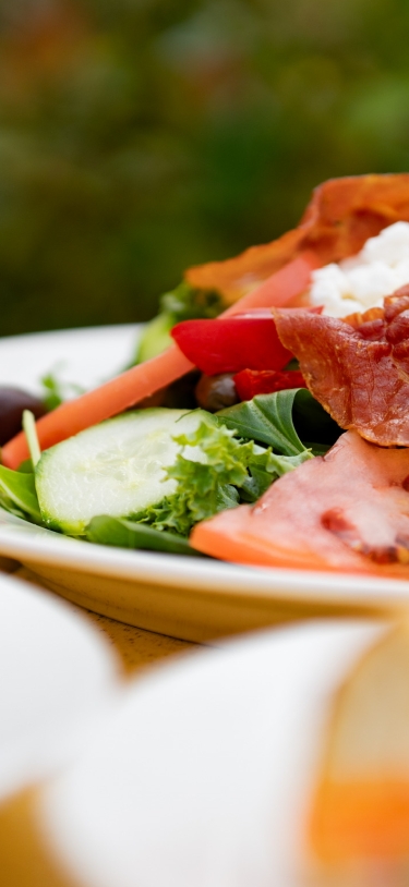 The Botanist Cafe & Garden Lounge – Botanist_Plates_Salad
