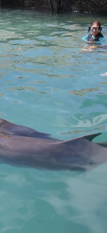 Dolphin Quest Bermuda – Bailey's Calf Born June 1st 2019