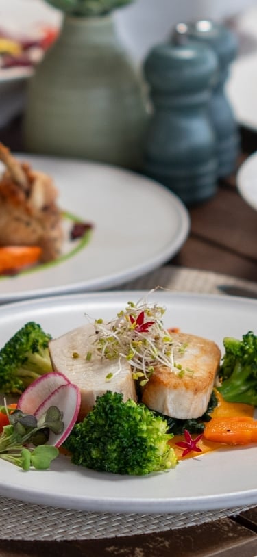 The Cloud – The Cloud - Dinner