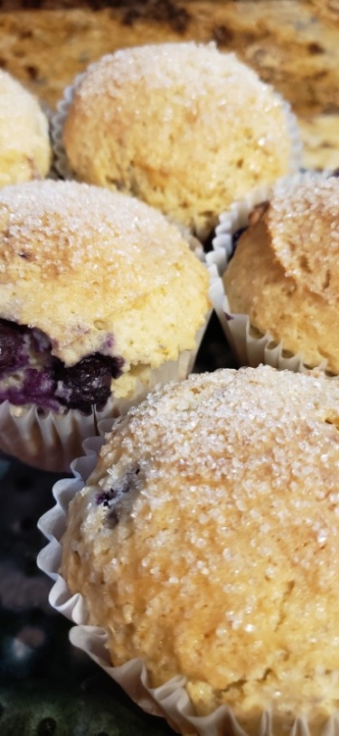 SIMPLE. Bermuda – Blueberry Muffins