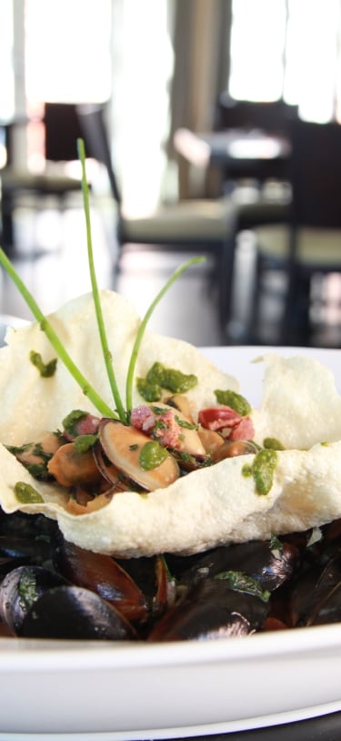 Bella Vista Bar & Grill – Bella Vista - More Food
