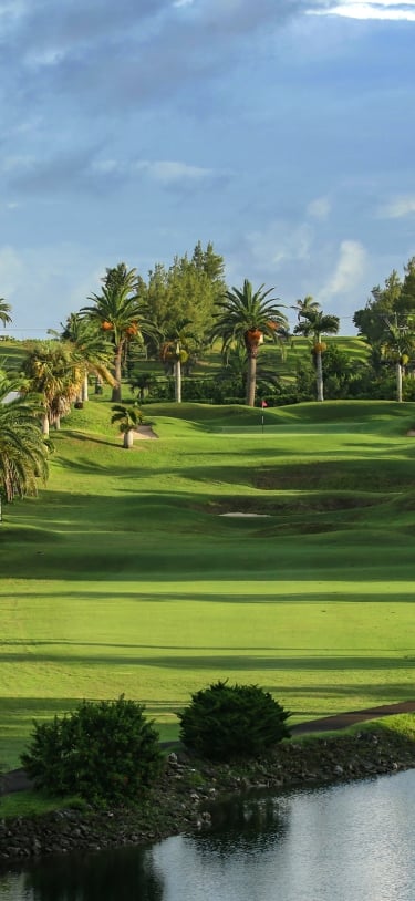 Belmont Hills Golf Course – Golf Course