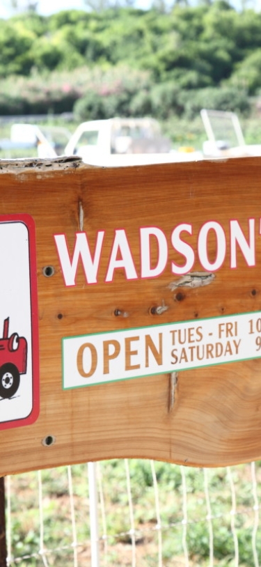 Wadson's Farm – Wadson Farms