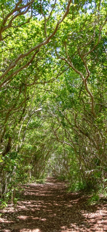 Walsingham Nature Reserve – Walsingham Nature Reserve