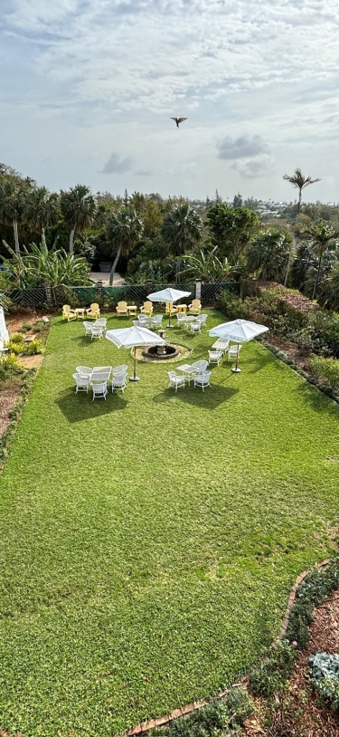 The Botanist Cafe & Garden Lounge – Outdoor_Rose_Garden