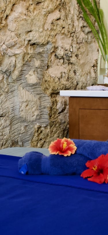 Spa Oasis – Spa Oasis- Treatment Room