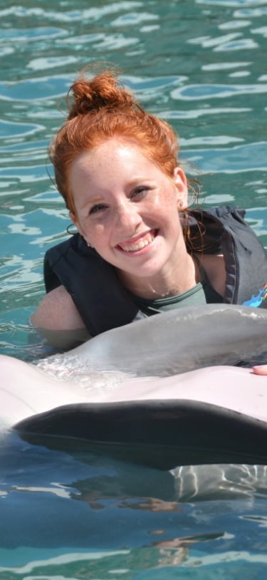 Dolphin Quest Bermuda – We Offer Interactions In Deep Water, Shallow Water, And Dockside