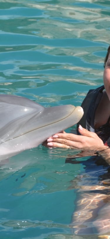 Dolphin Quest Bermuda – Dolphin Quest Bermuda