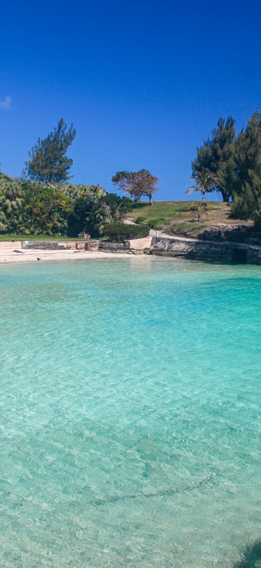 Arlington Getaway – Nearby Beach