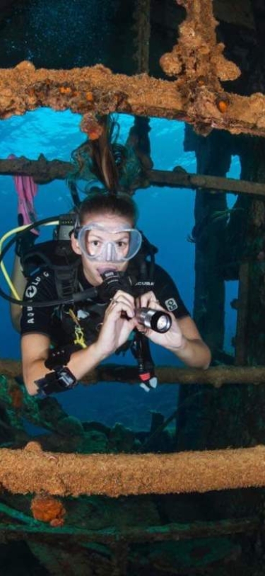 Dive Bermuda at Grotto Bay – Wreck Pen