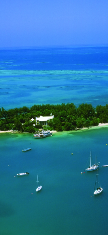 Mangrove Bay – Aerial Mangrove