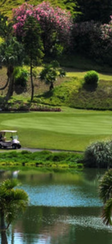 Fairmont Southampton – FSP- Golf