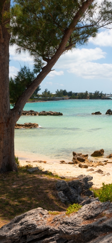 Theo's Cove – Theo's Cove