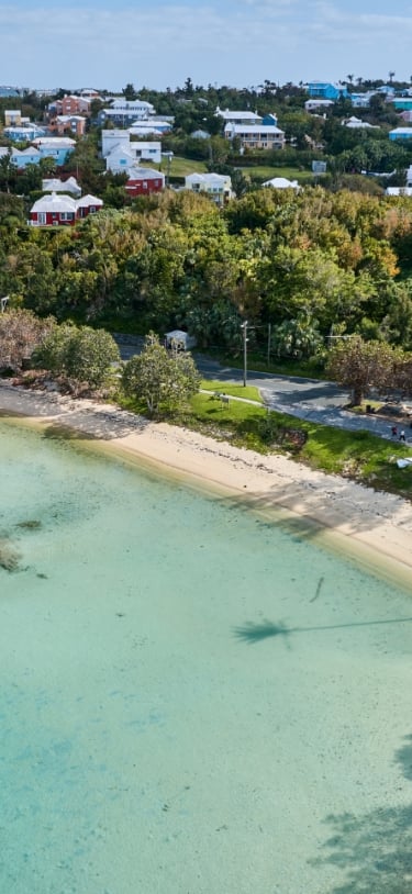 Mangrove Bay – Mangrove Bay