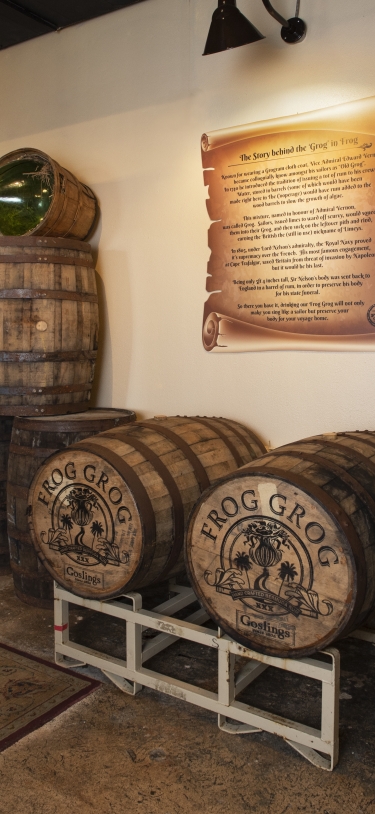 Frog & Onion Pub – Frog Grog