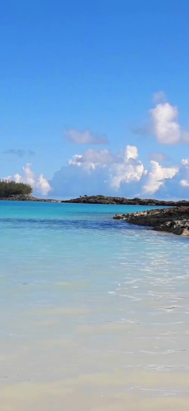 Robin's Paradise Bermuda Tours – Wading In The Water At Cooper's Island Nature Reserve
