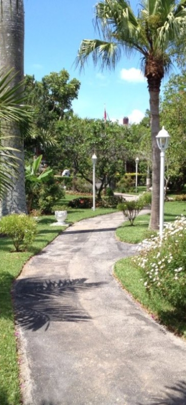 Royal Palms Hotel – Royal Palms Garden