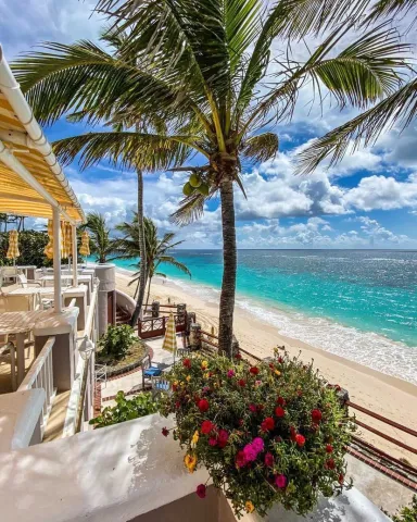 coral beach club bermuda dress code Beach Club Restaurant | Bermuda Fine Dining
