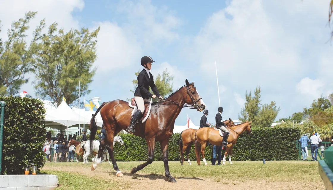 A woman riding a horse during the agricultural show in Bermuda