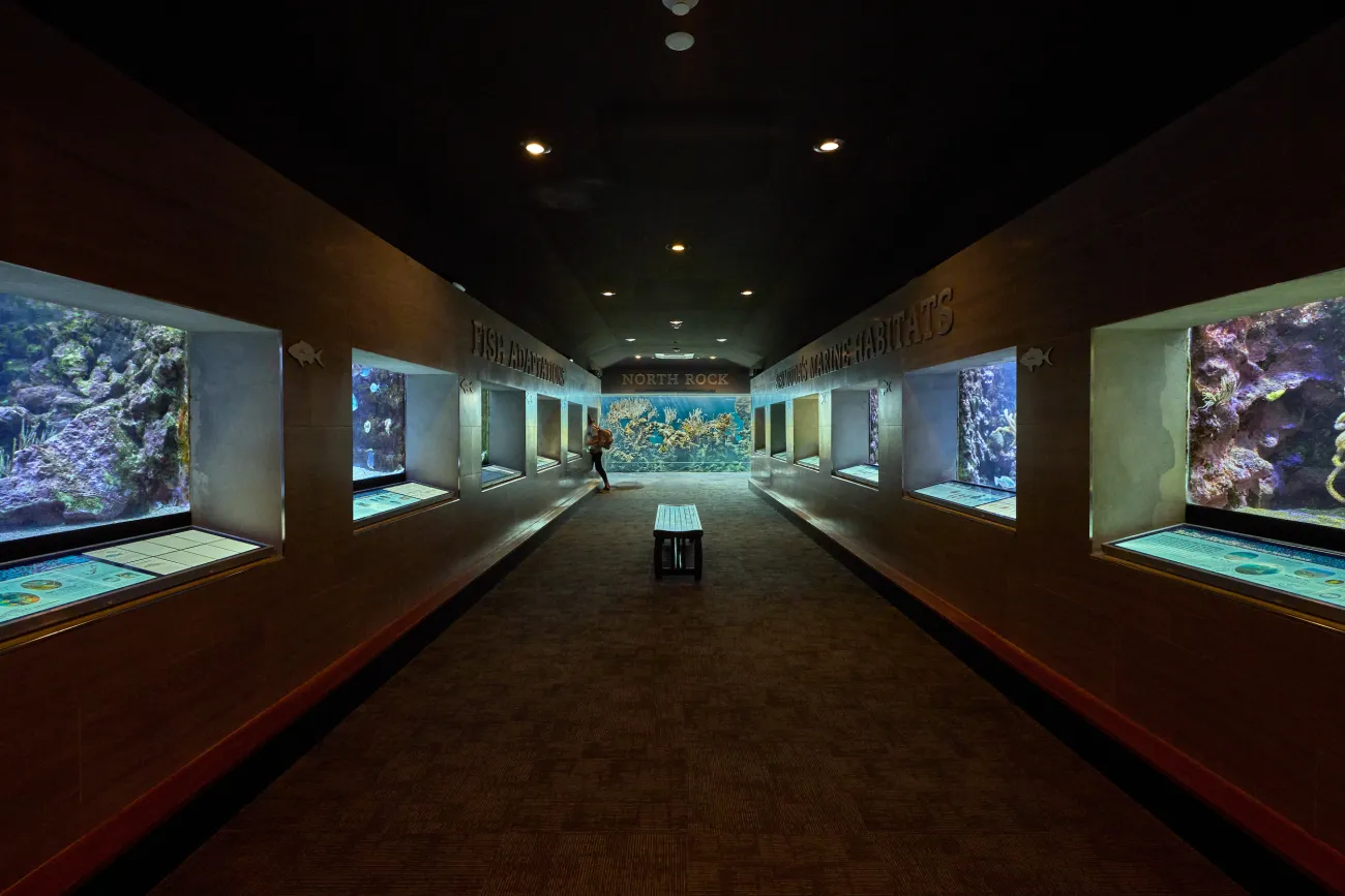 Interior of Bermuda Aquarium