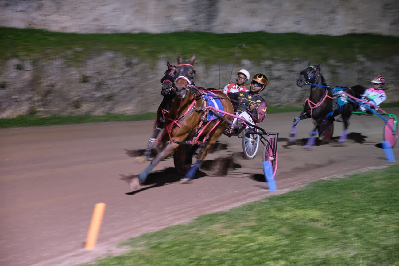 A group of people pony racing
