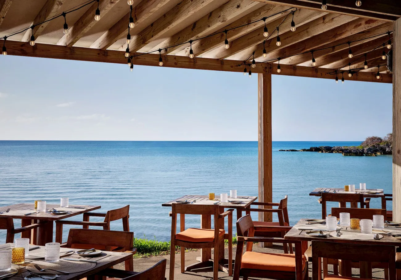 Cambridge Beaches- Read Cckendree