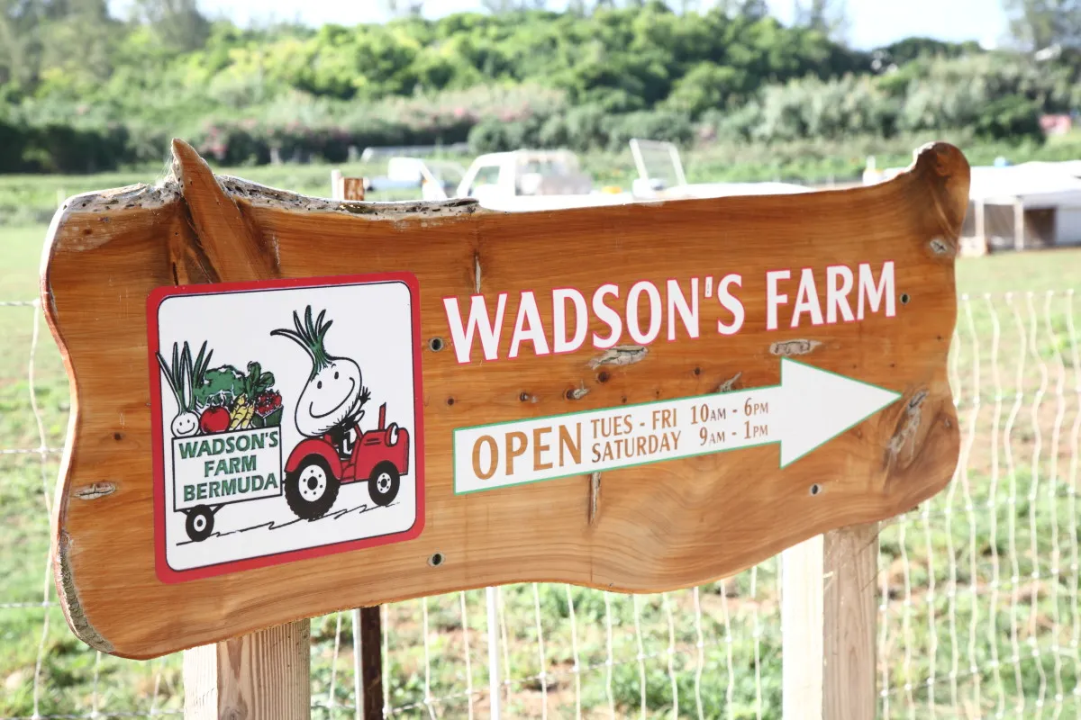 Wadson's Farm – Wadson Farms