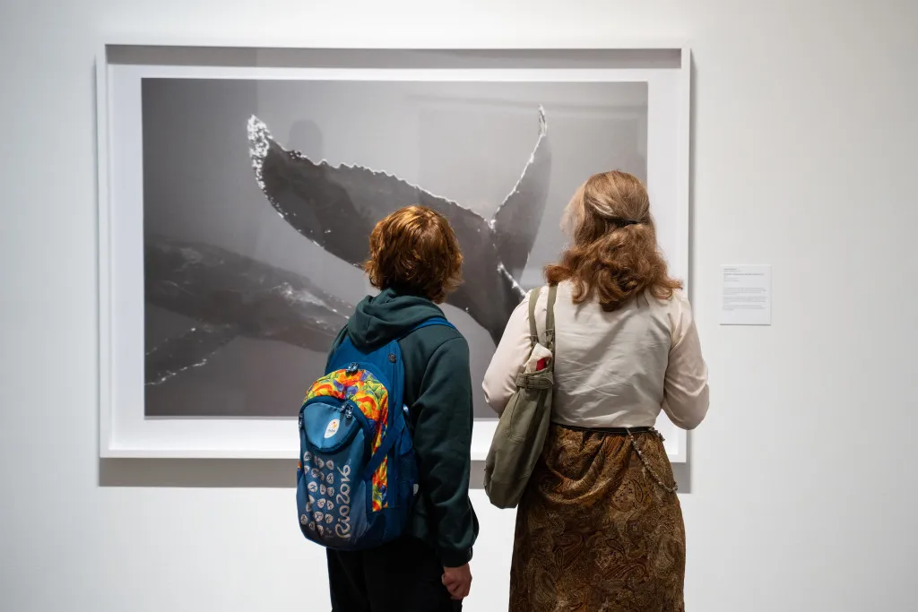 The Ocean They Inhabit Exhibit | Bermuda National Gallery