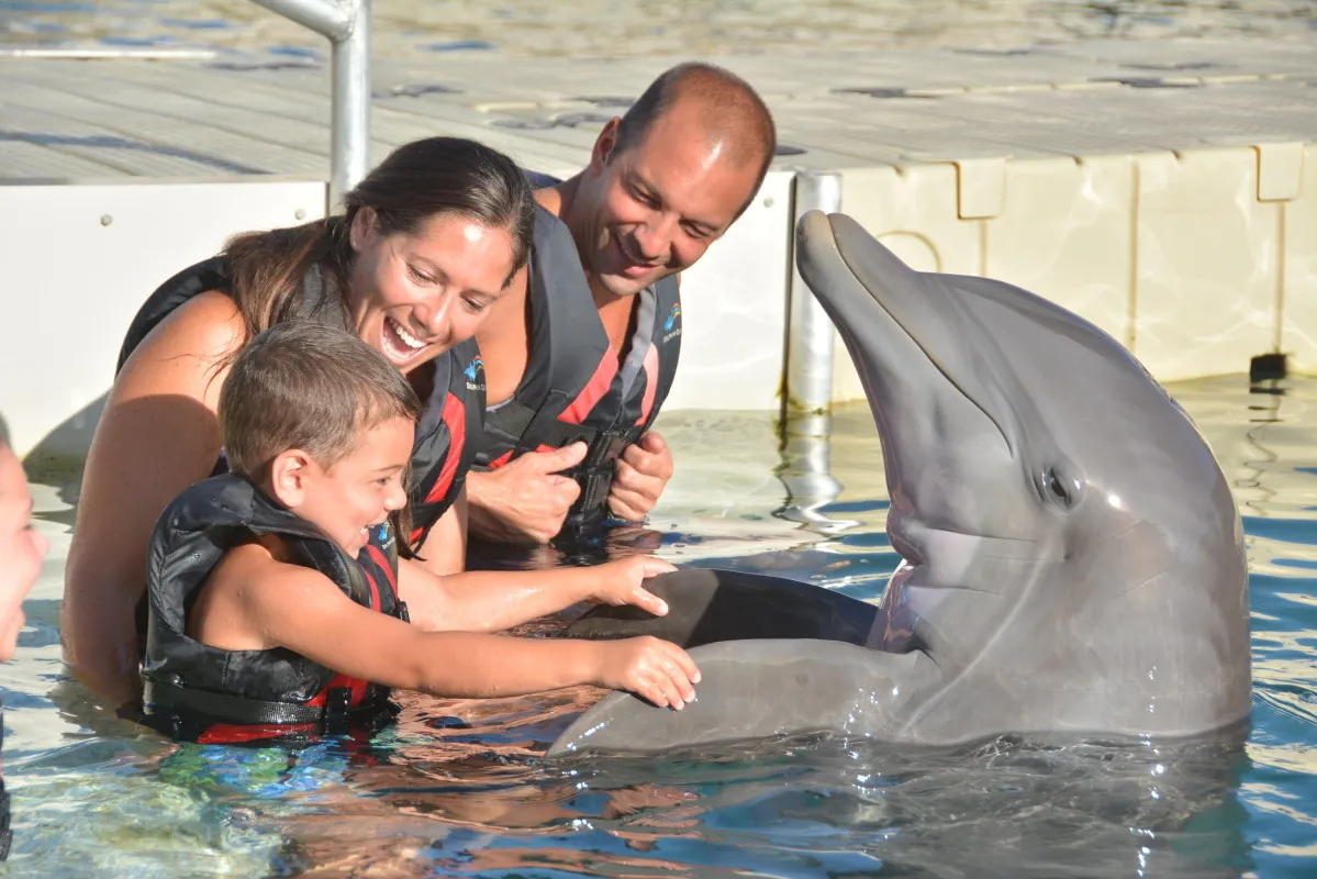Dolphin Quest Bermuda – Dolphin Quest Bermuda