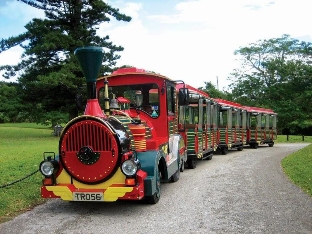 The Bermuda Train Company – Train1