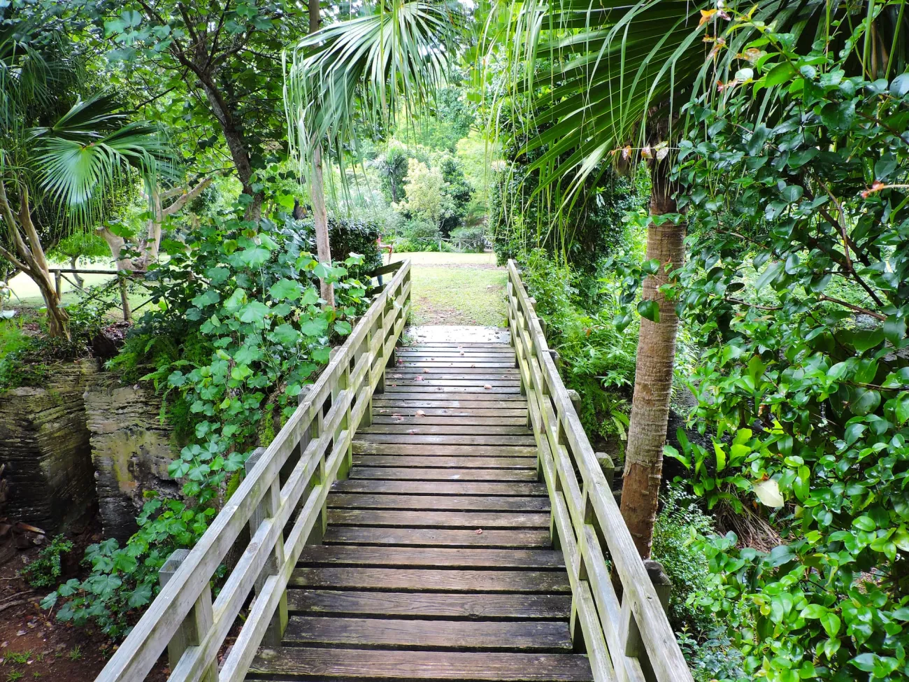 Arboretum in Bermuda