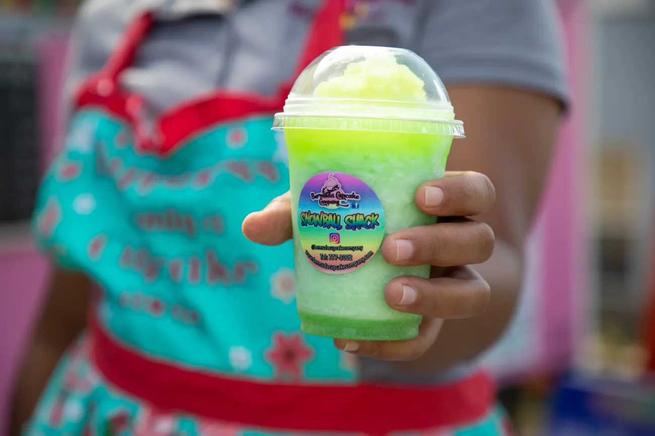 Someone is handing a cold snowball to the camera.