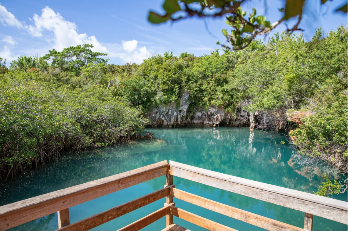 Blue Hole Park in Tom Moore's Jungle in Bermuda