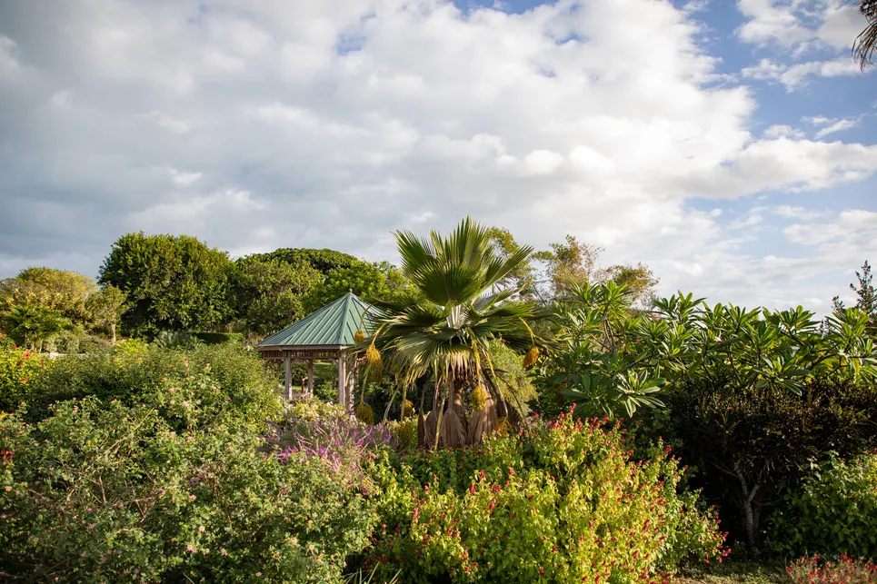 A lush and green neatly kept garden with a gazebo tucked in the bushes.