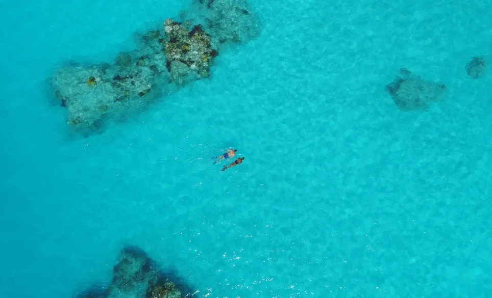 aerial shot of a pair of snorkelers