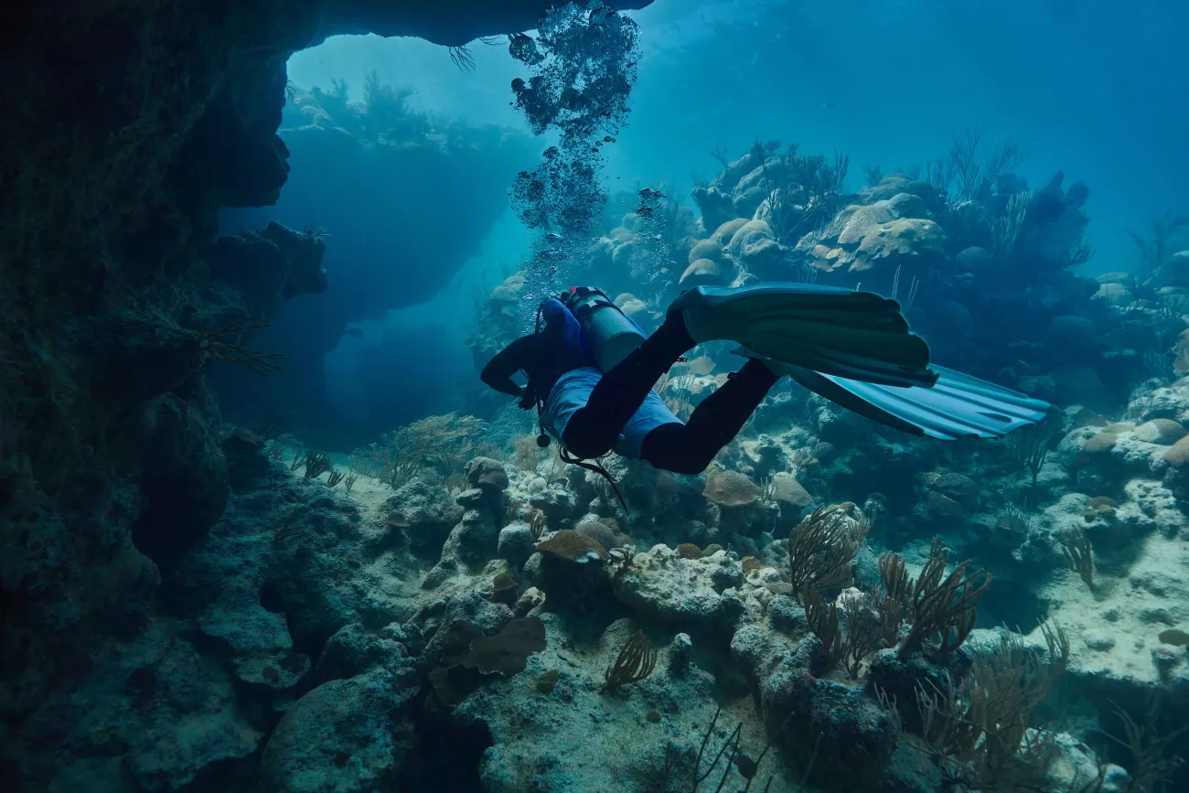 A man is snorkelling in Bermuda waters.