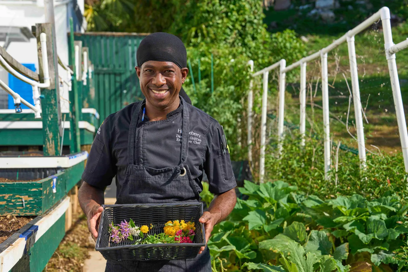 Huckleberry Chef farm to table.