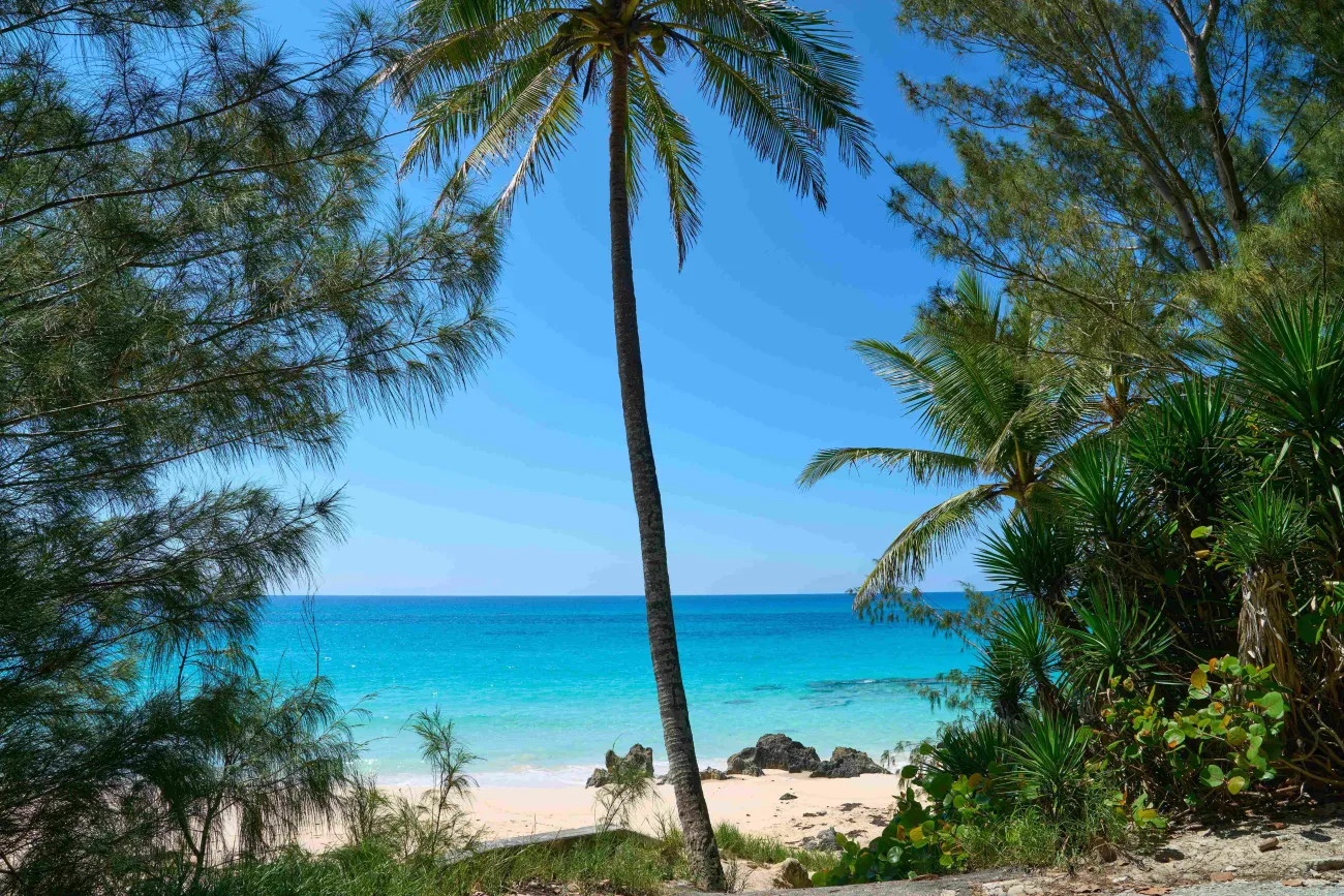 A secluded beach surrounded by lush greenery and an empty beach.