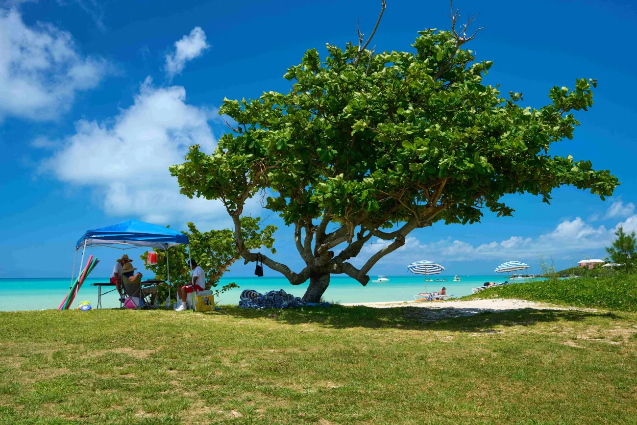 A beach rental team is lounging around on the secluded Somerset Long Bay.