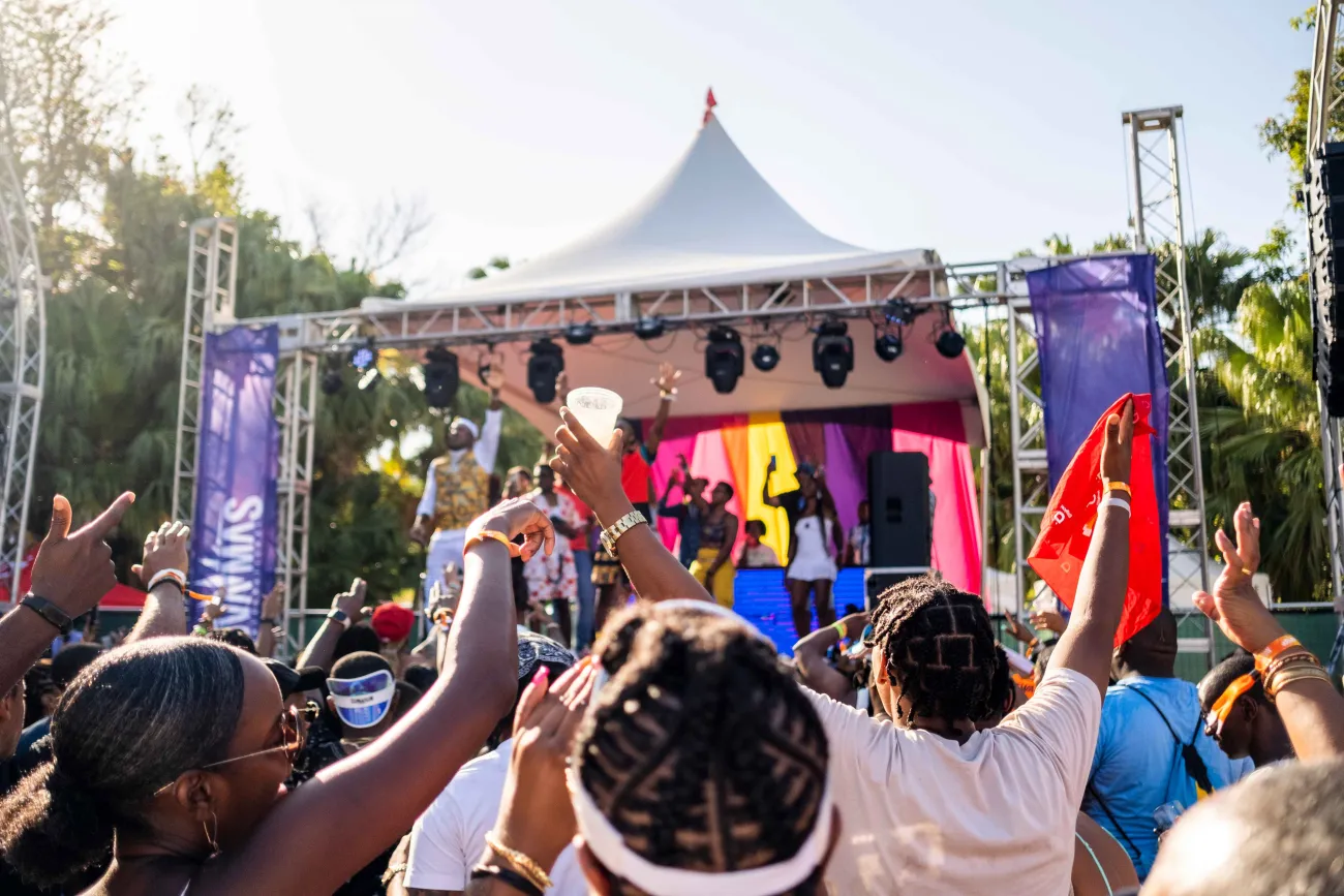 People are dancing at a concert