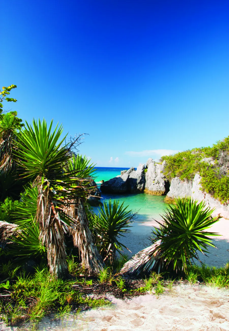 Jobson's Cove on Bermuda's South Shore