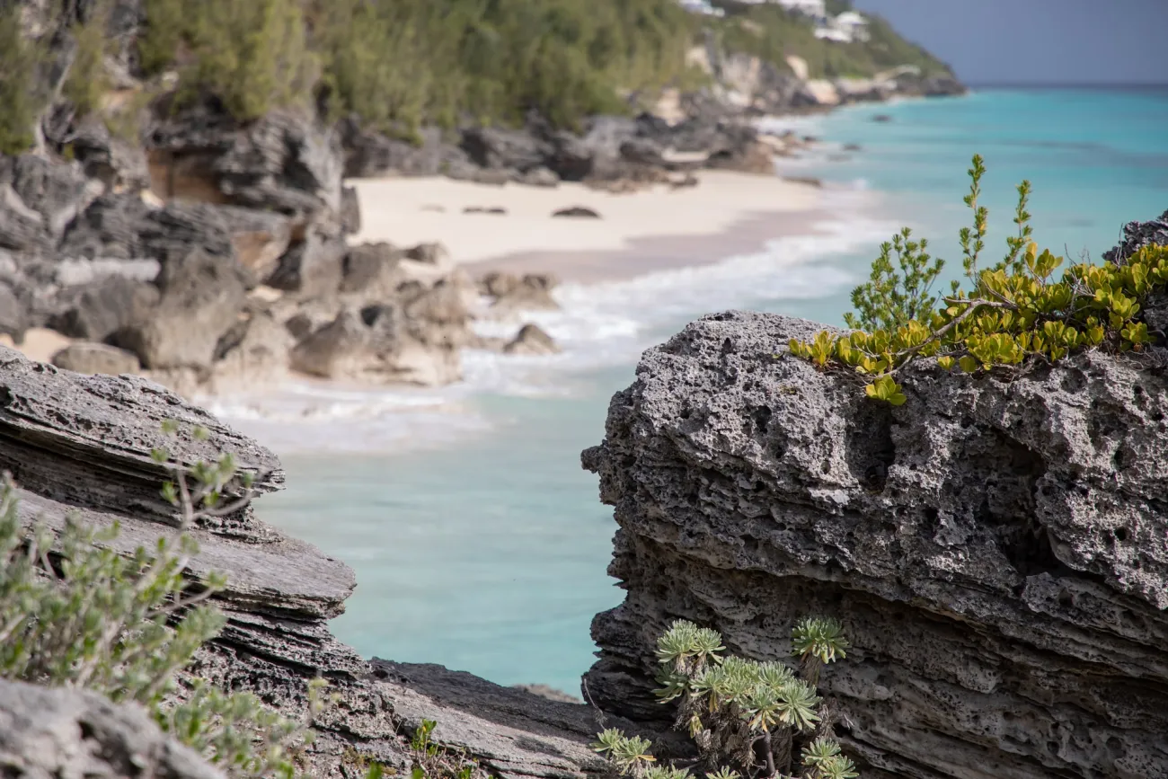 Astwood Cove Beach in Bermuda