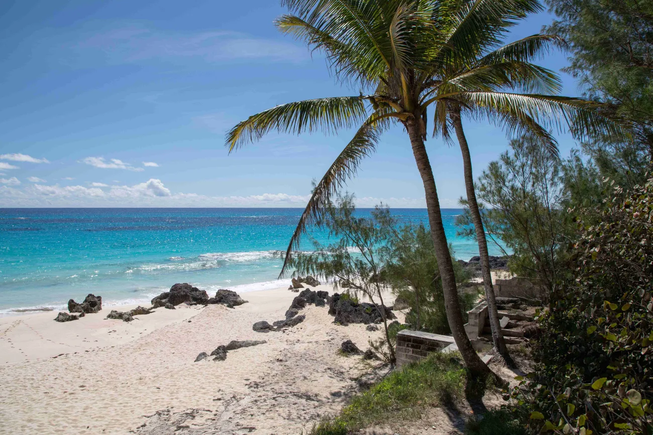 A view of an empty beach with calm blue waters.