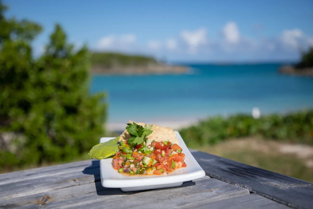 Wild n Herb tour plate with locally sourced food. 