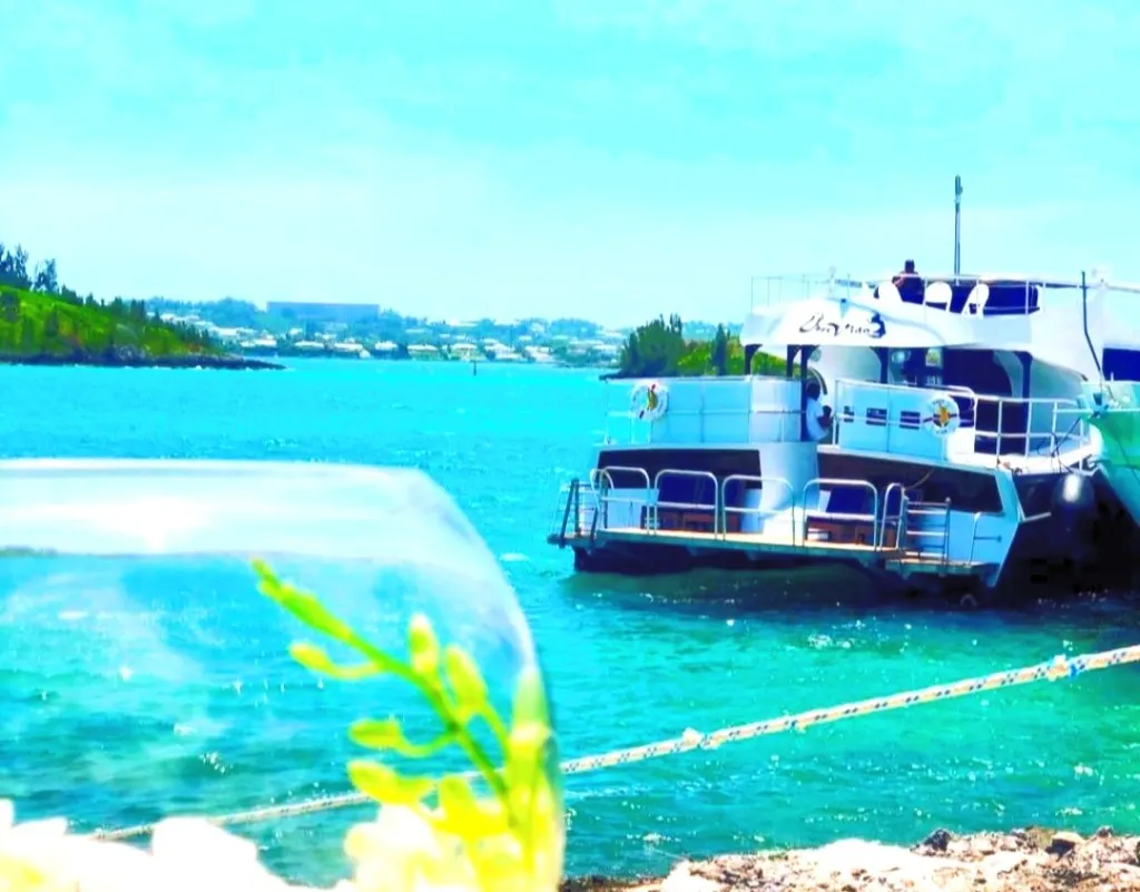 Double Dip 4- Hour Swimming Cruise In Bermuda