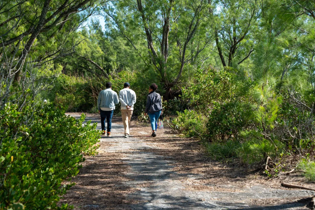 Wild Herbs N Plants of Bermuda – People Walking On Wild Herb Tour