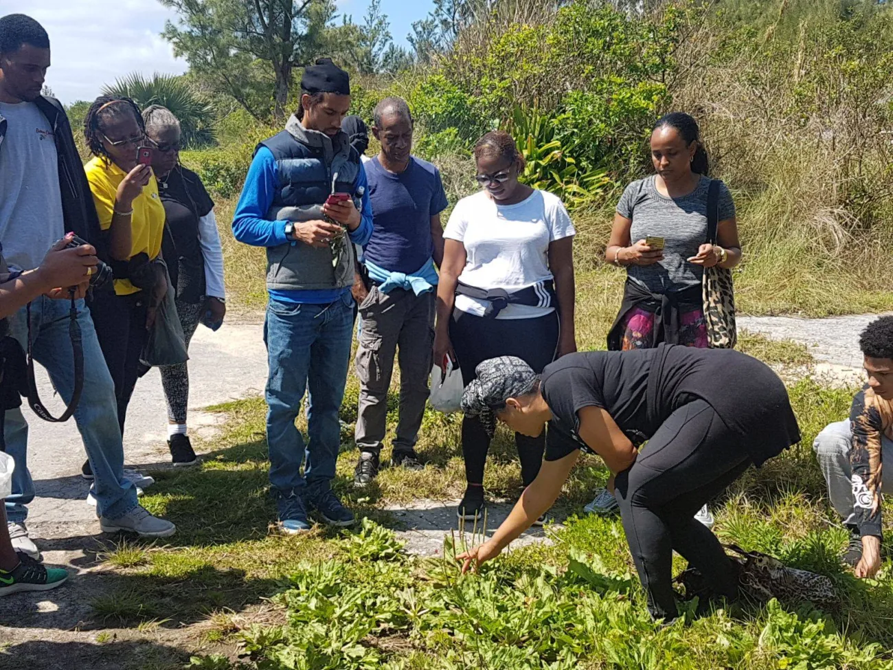 Taste The Wild Edible Flavours Of Bermuda