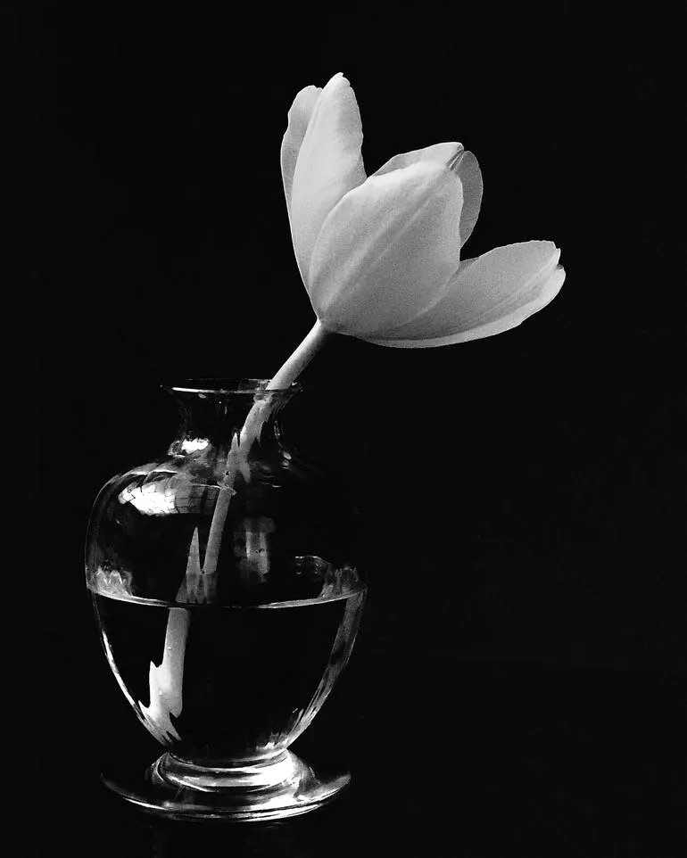 Drawing Course: Dramatic Still Life