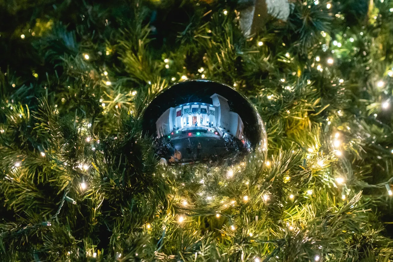 Rockin' Around The City Tree